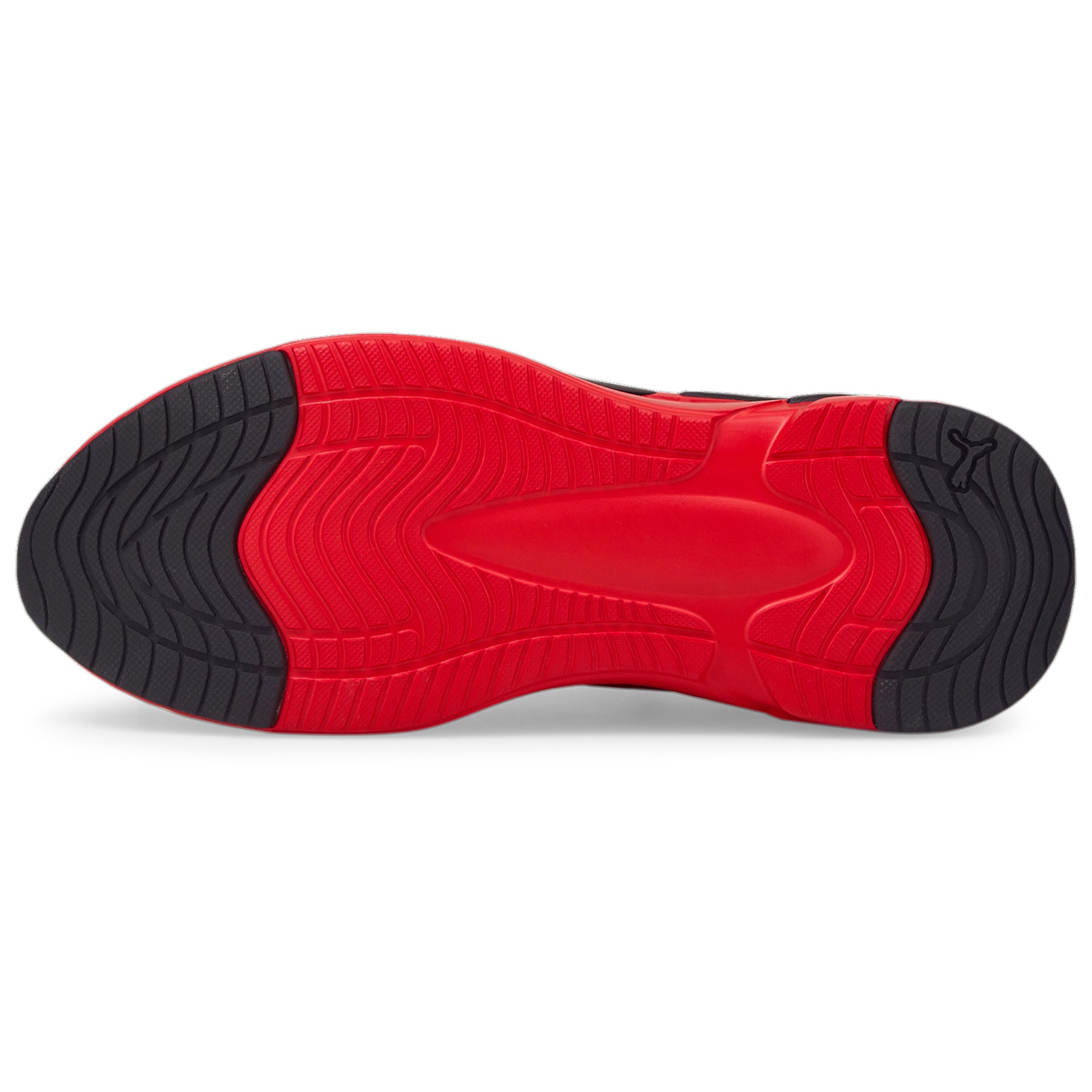 Zapatillas Puma Hombre Running Softride Premier Slip-On | 376540-02