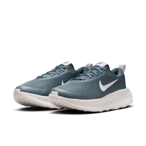 Zapatillas Nike Hombre Running Promina  | FV5285-302