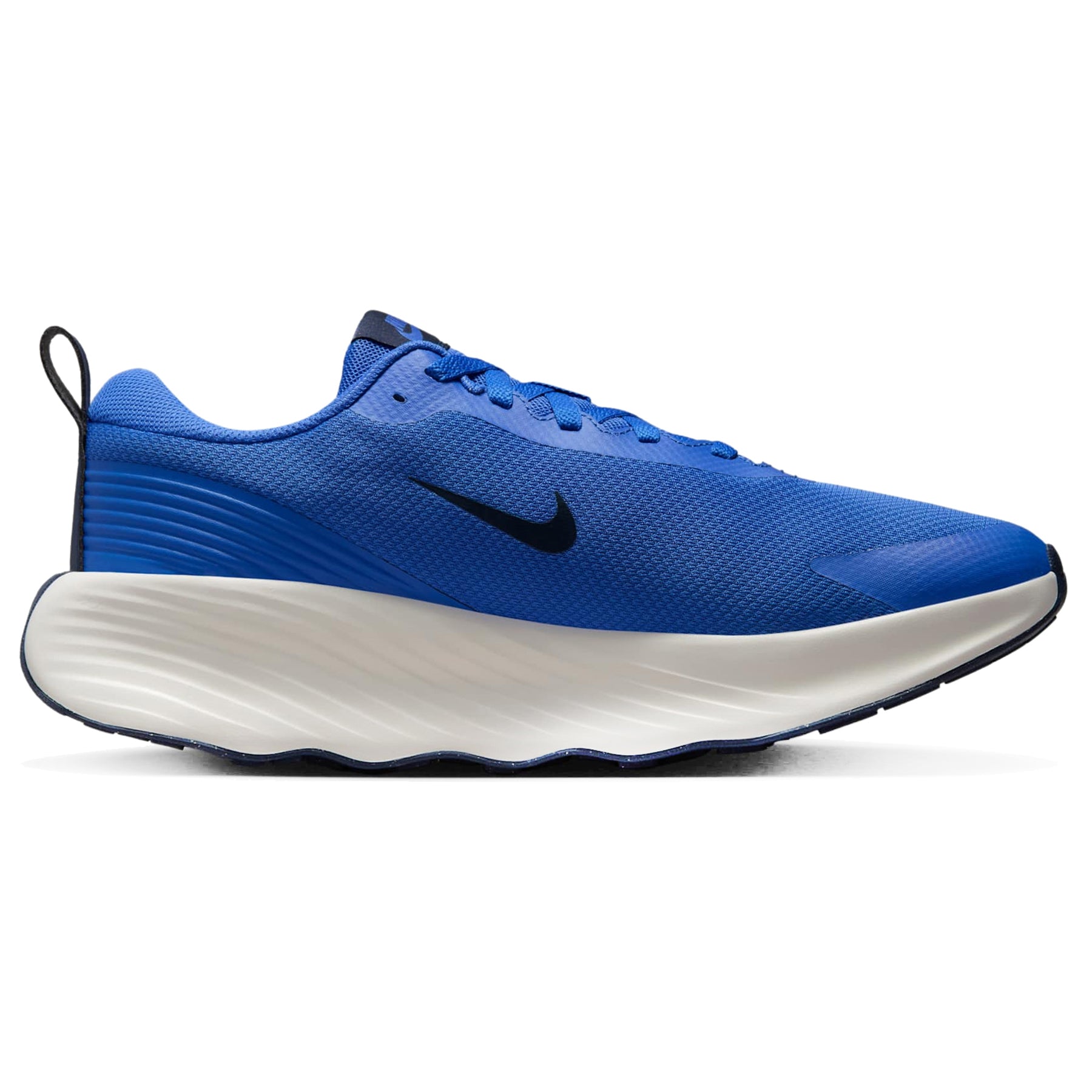 Zapatillas Nike Hombre Running Promina | FV5285-401