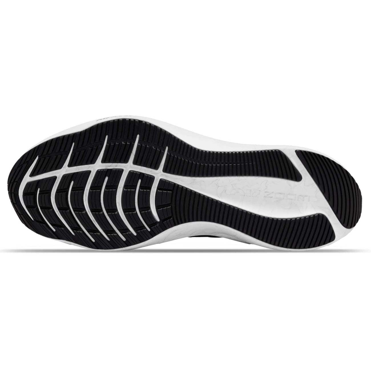 Zapatillas Nike Hombre Running Winflo 8 | CW3419-009